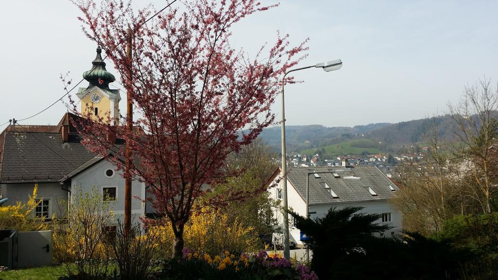 Mayerhofer House 린츠 외부 사진