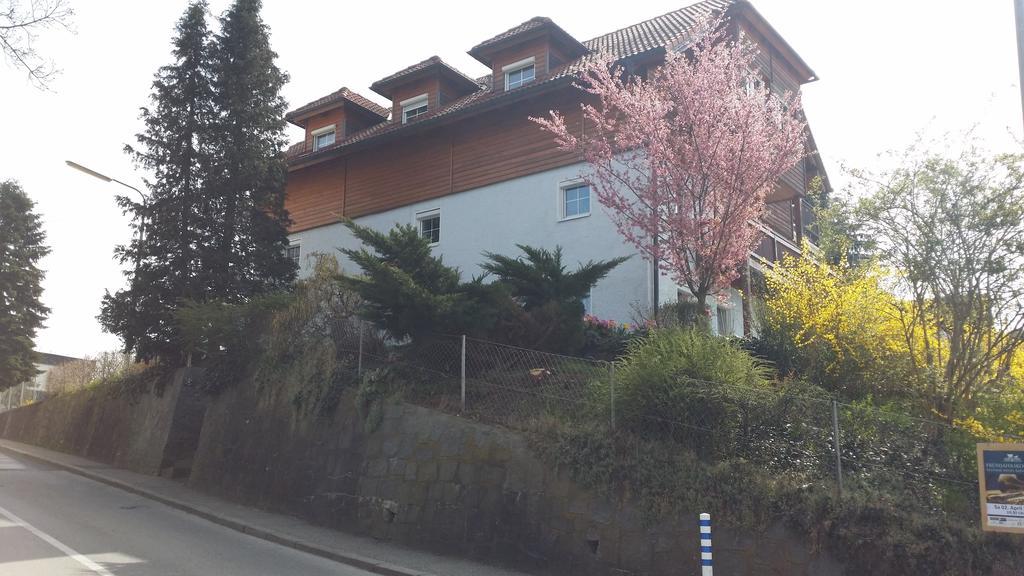 Mayerhofer House 린츠 외부 사진